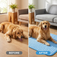 cool Summer Pet Cooling Mat